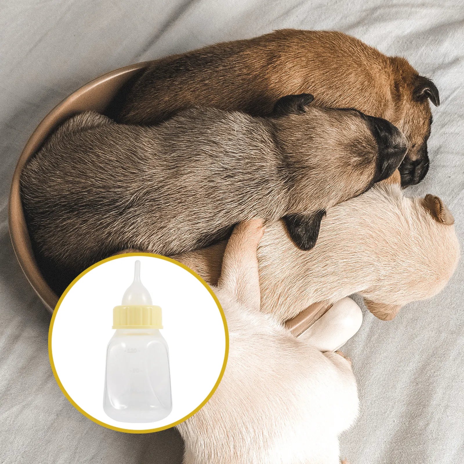 Pet Nursing Bottle Compact Soft Squeeze Feeding Puppies Kittens Small