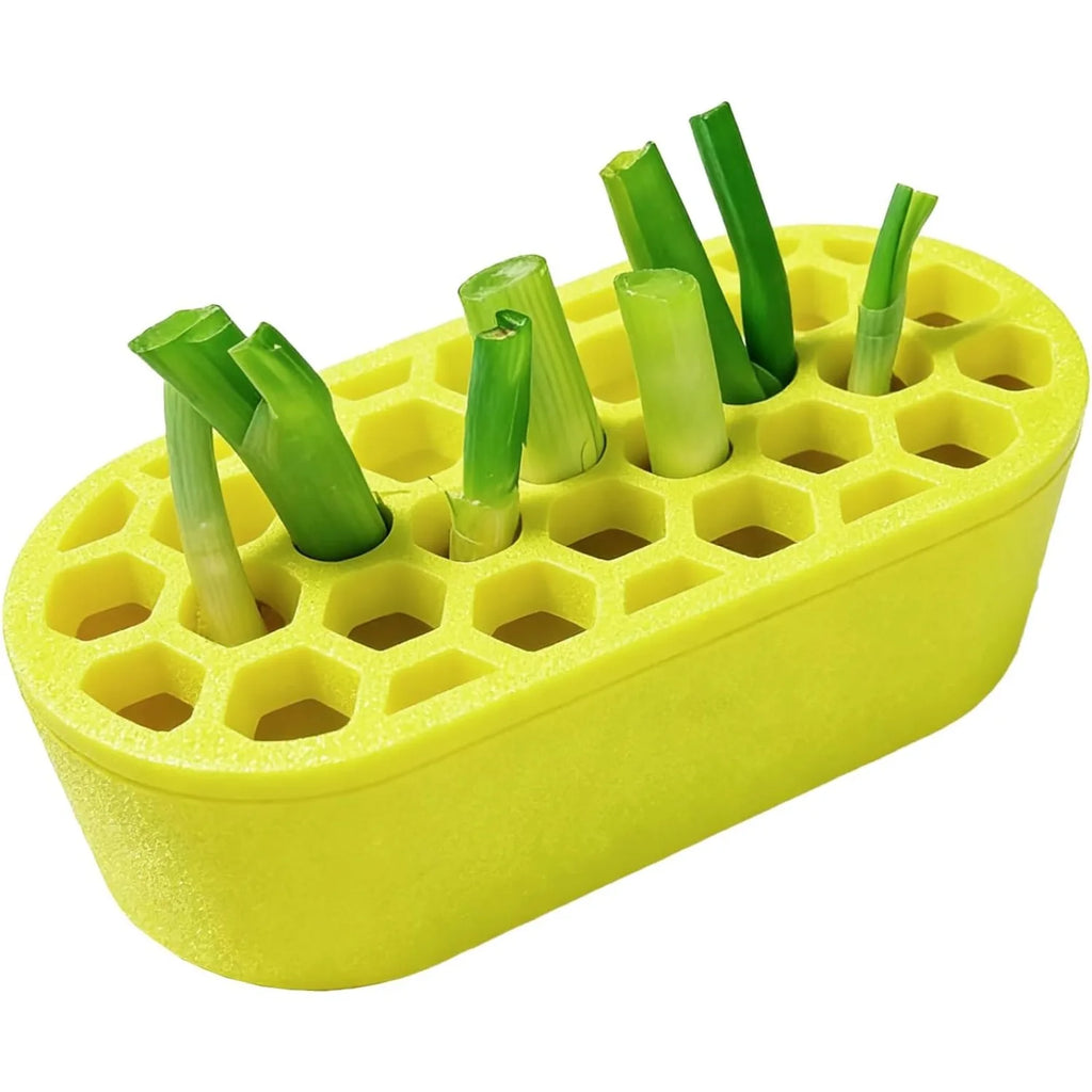 3D Printed Green Onion Regrower Sprouting Hydroponic Scallion Planter