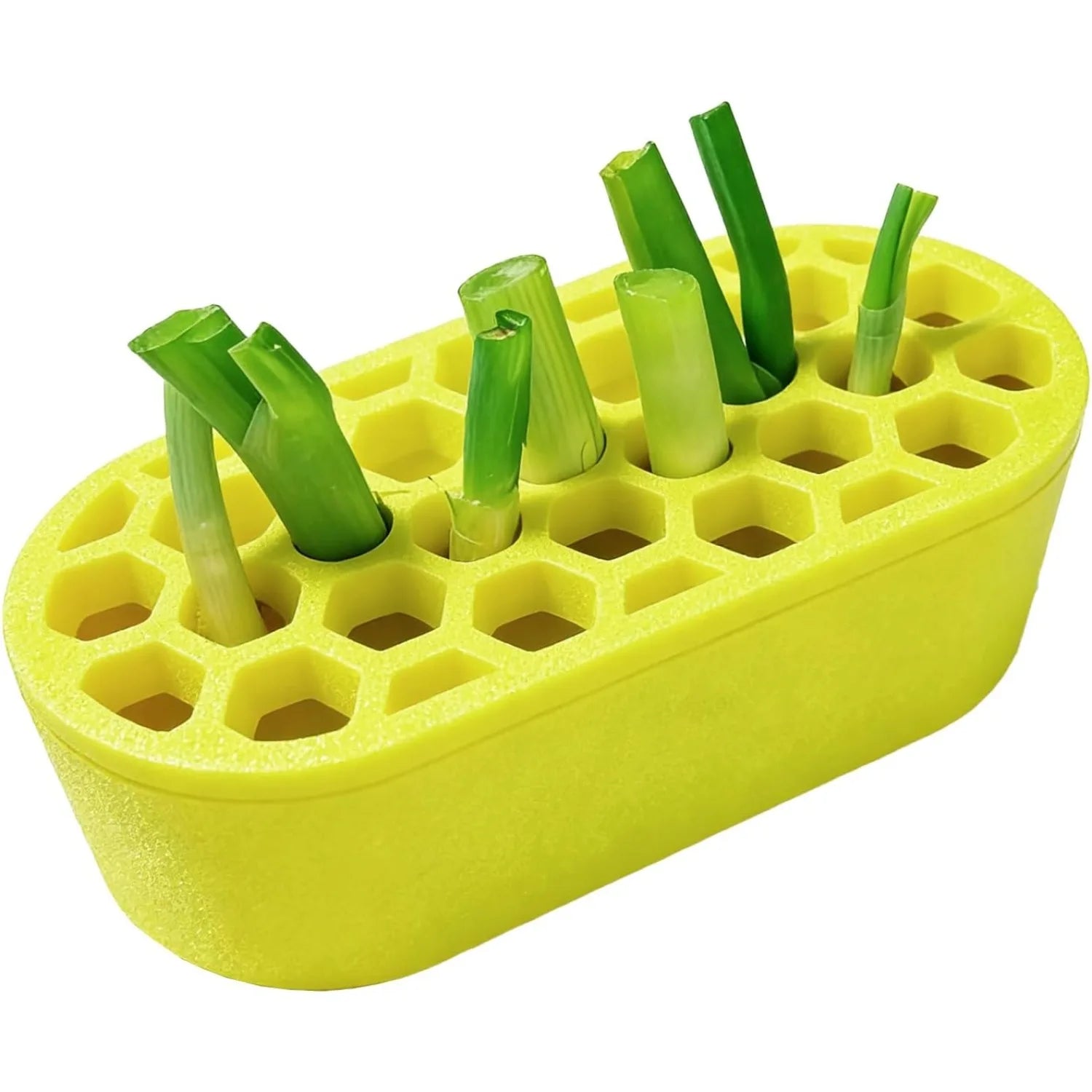 3D Printed Green Onion Regrower Sprouting Hydroponic Scallion Planter