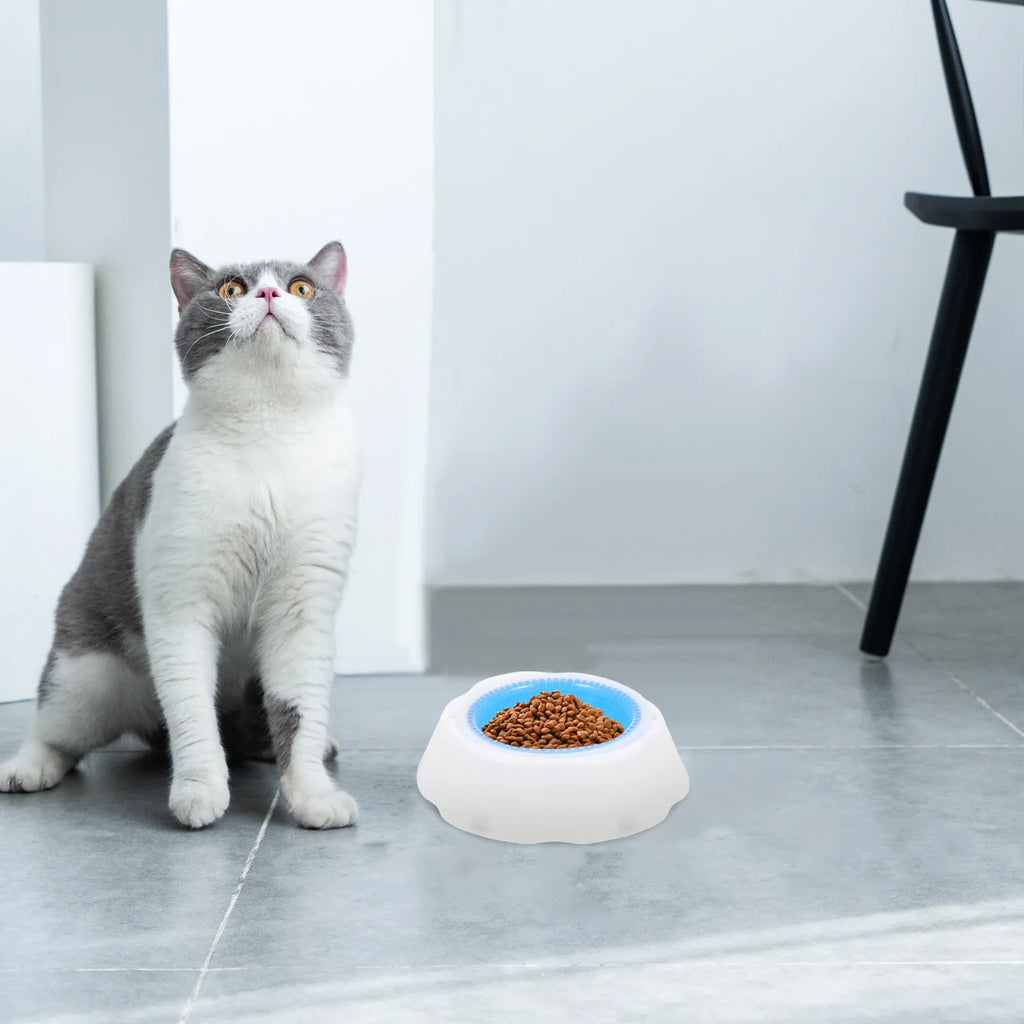 Pet Cooler Bowl Long-lasting PP Material Stable Base Dog Cat Summer