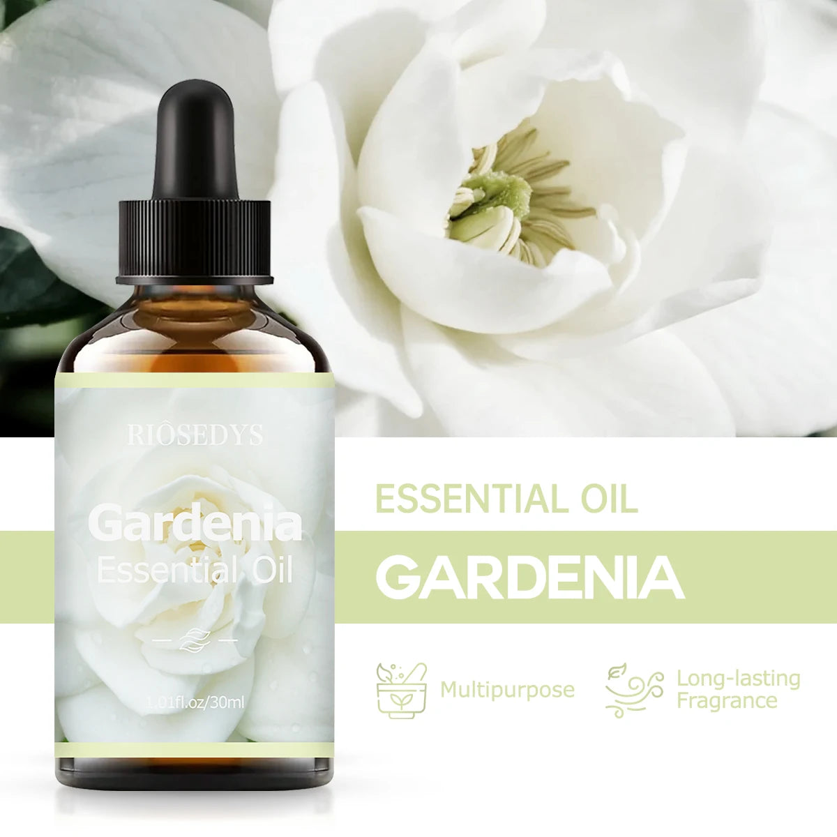 GARDENIA Essential Oil Natural Fragrance Suitable Body Massage Zpaxo