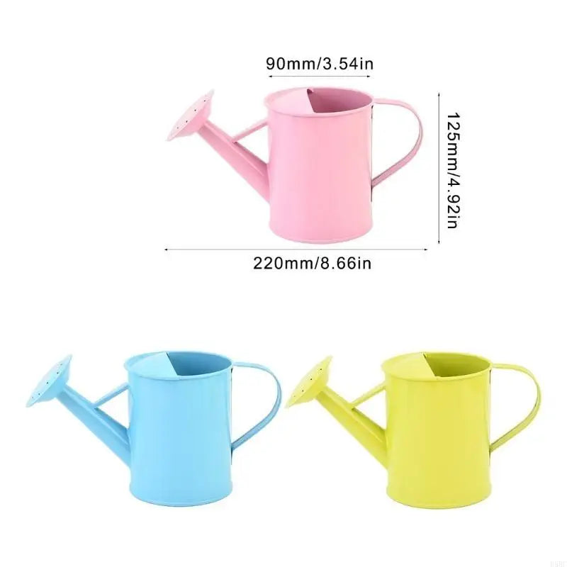 Iron Watering Can Easy Grip Handle Design Precise Indoor Outdoor