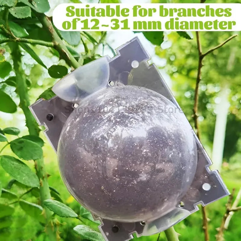 Plant Rooting Ball Grafting Rooting Box Breeding Case High Pressure Plant Root Growing Box for Garden Planting Supply Zpaxo