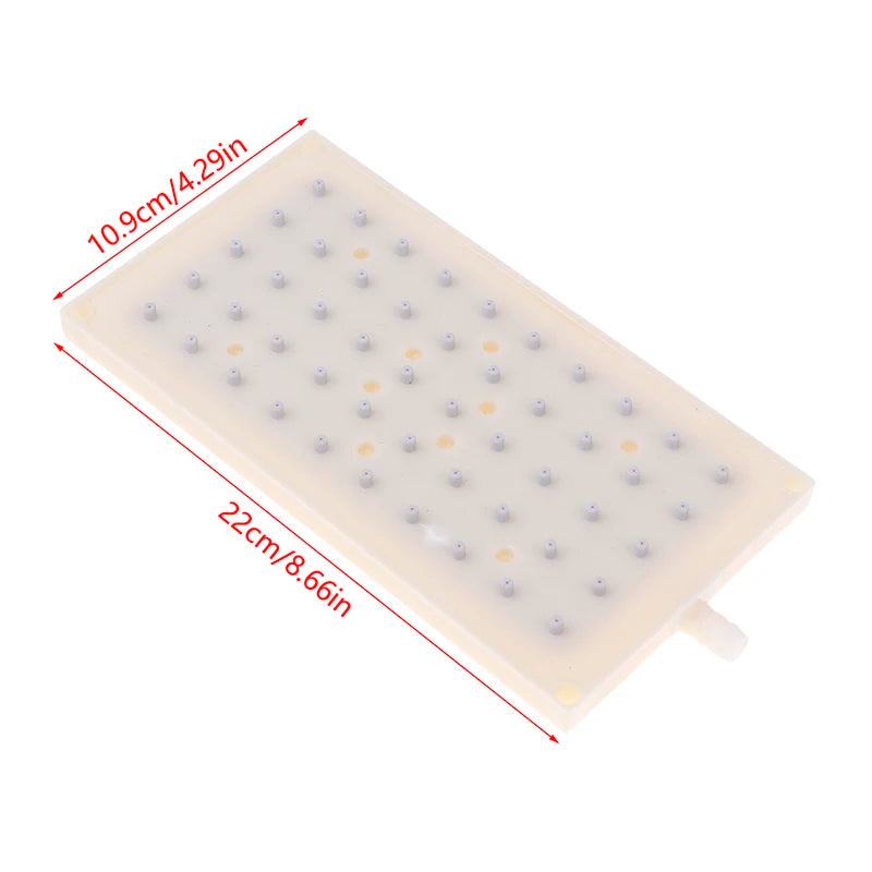 Premium 22X10 ABS Shower Head Intubation Interface 5 10 Hole Spray Zpaxo one size