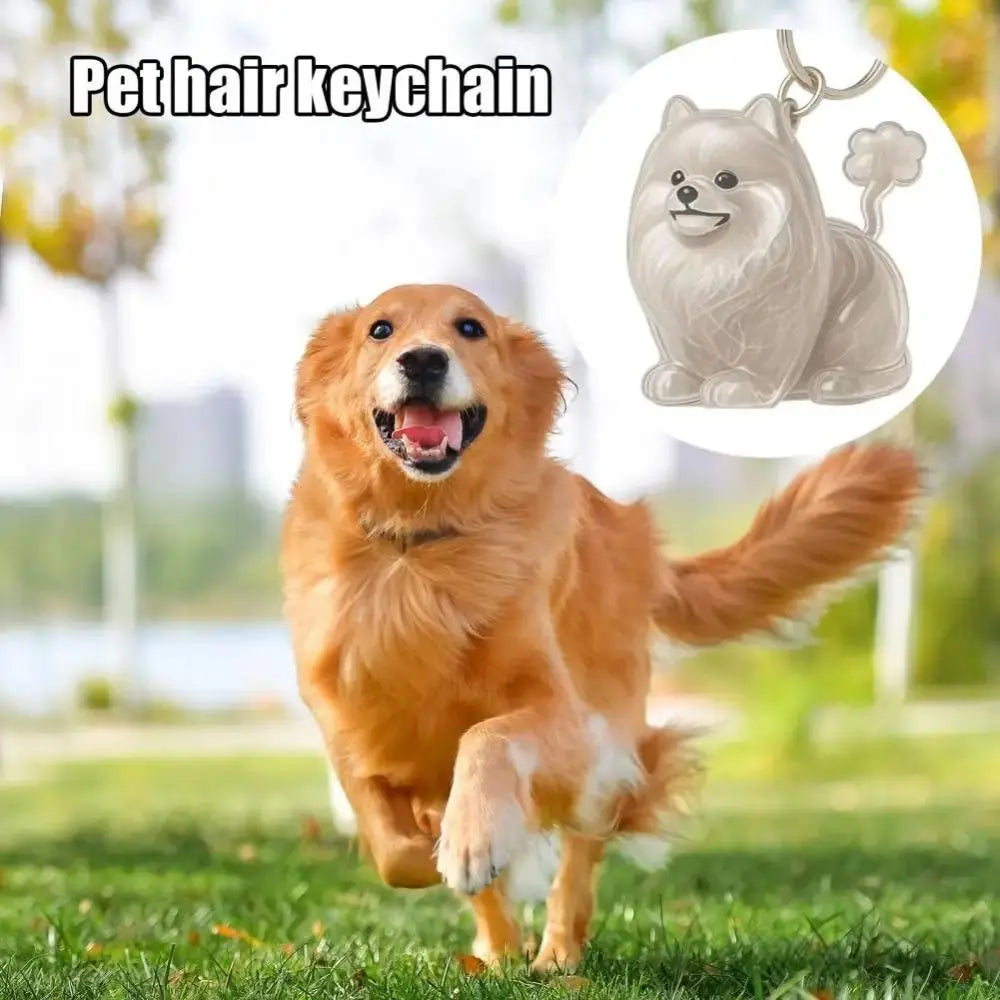 Cartoon Dog Shape Dog Hair Storage Box Transparent DIY Handmade Pet Hair Keychain Keyring Acrylic Puppy Pendants Backpack Zpaxo