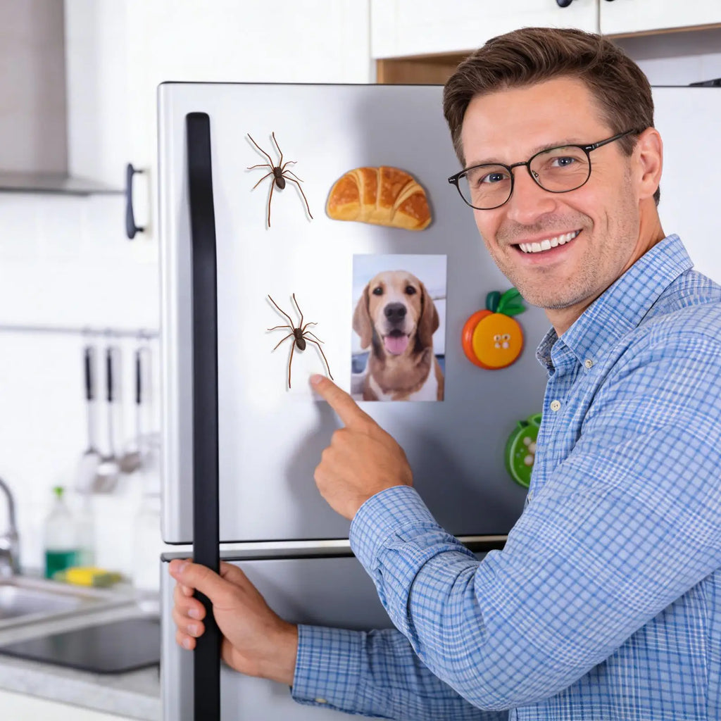 Spider Fridge Magnet Realistic Prank Gadget Refrigerator Funny