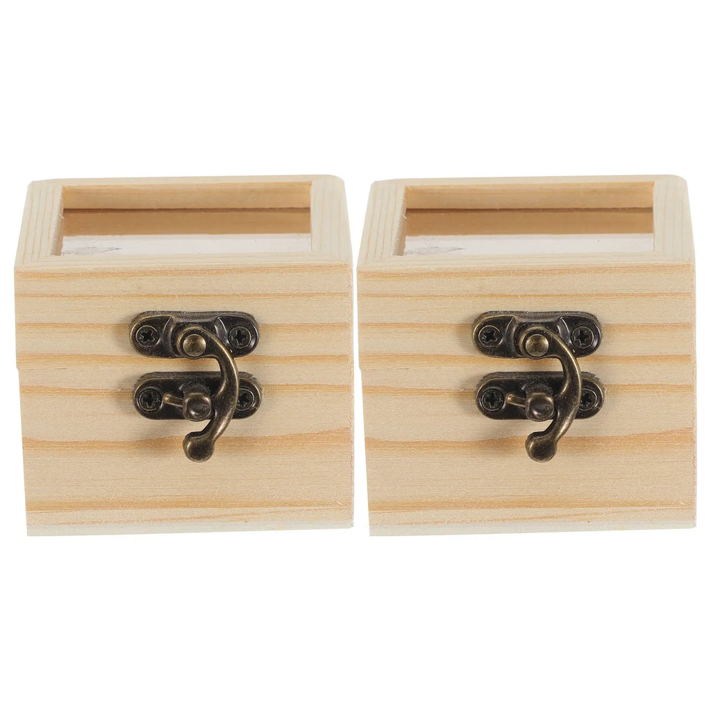 Insect Display Box Natural Wood Clear Lid Specimen Storage Square