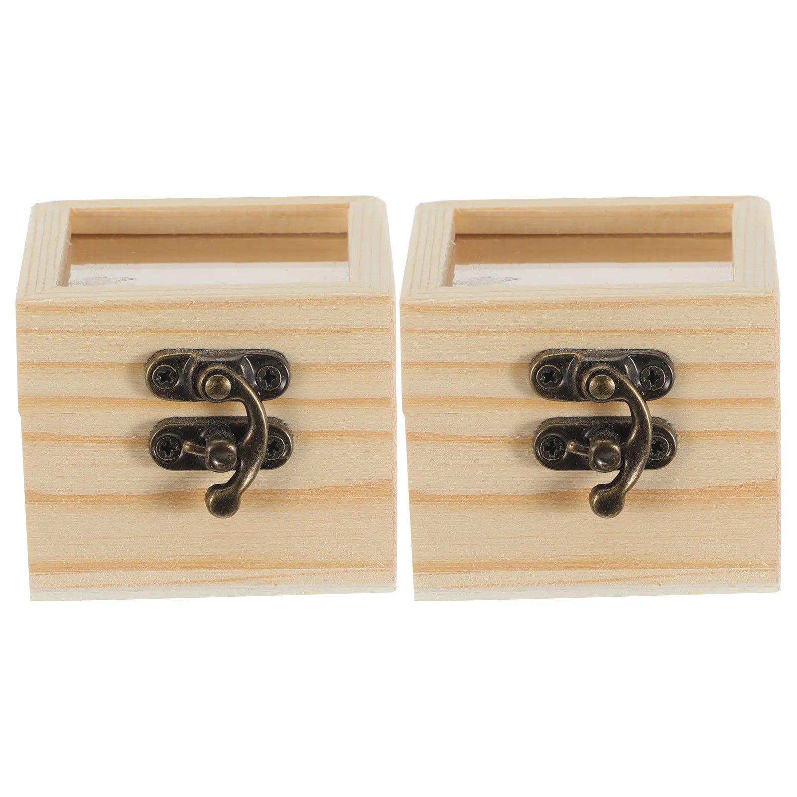 Insect Display Box Natural Wood Clear Lid Specimen Storage Square