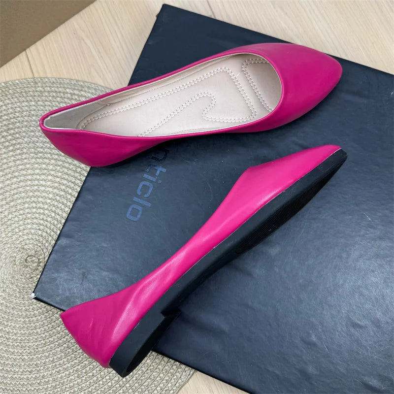 Flat Shoes for Women Spring and Autumn 2025 New Shallow Mouth Pointed Toe Boat Shoes Plus Size Women's Shoes Zapatos De Mujer Zpaxo 13 40