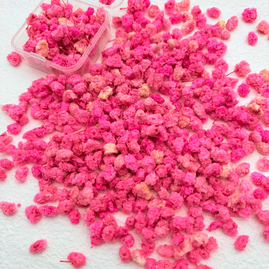 Colorful Daisy Flower Heads – DIY Resin, Candle & Jewelry Filler Craft Flower Filler Zpaxo