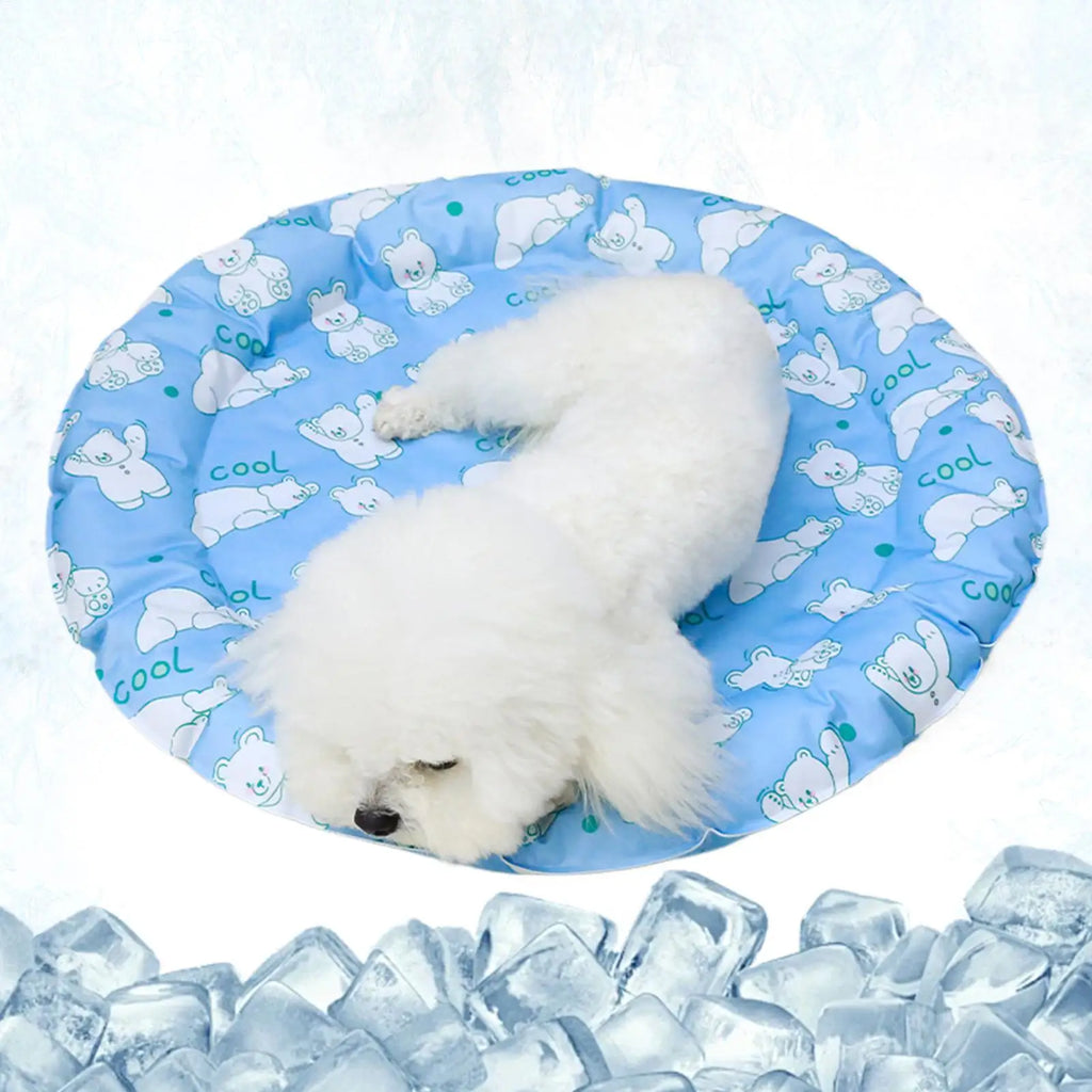 Dog Cooling Pad Non-Slip Portable Long-Lasting Breathable Bear Pattern Dog Cooling Mat Outdoor For Hot Weather Summer Indoor Zpaxo