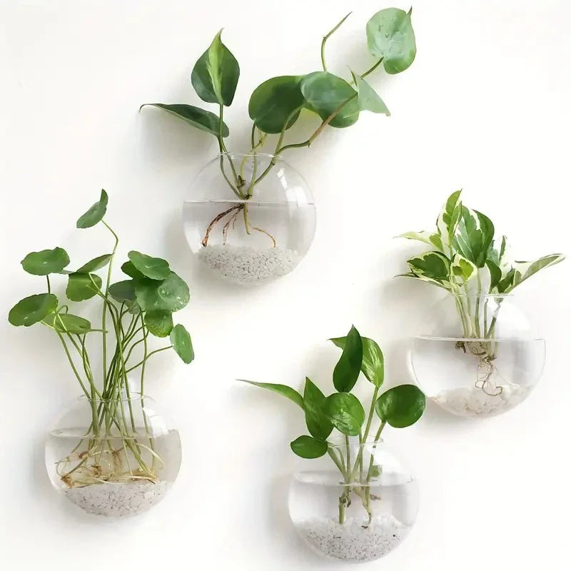 Glass Wall-mounted Plant Greenhouse Propagation Station Vase Air Home