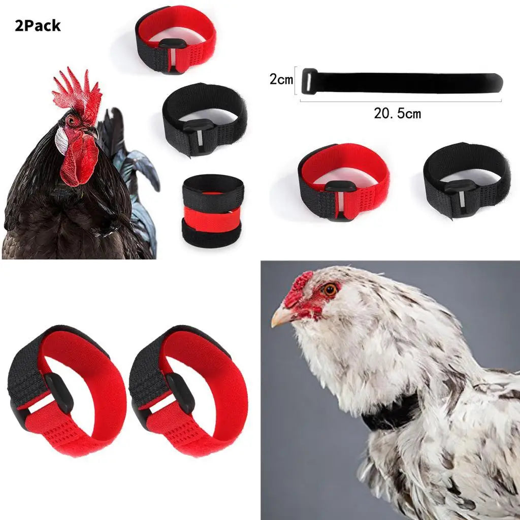 2x Rooster Collar, Chicken Collar Anti-Hook Noise Neckband Noise Neck Belt for Roosters - Chickens from Screaming Zpaxo