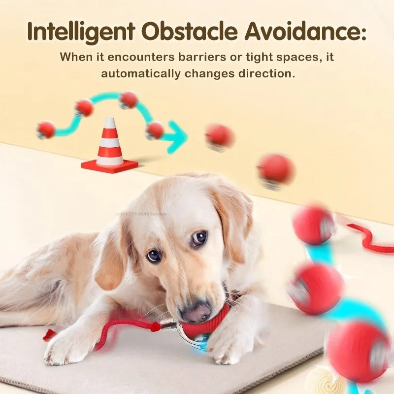 Cat Interactive Ball Training Self-moving Kitten Electric Cat Ball Toys Electronic Automatic Rolling Magic Ball Toys for Cat Zpaxo