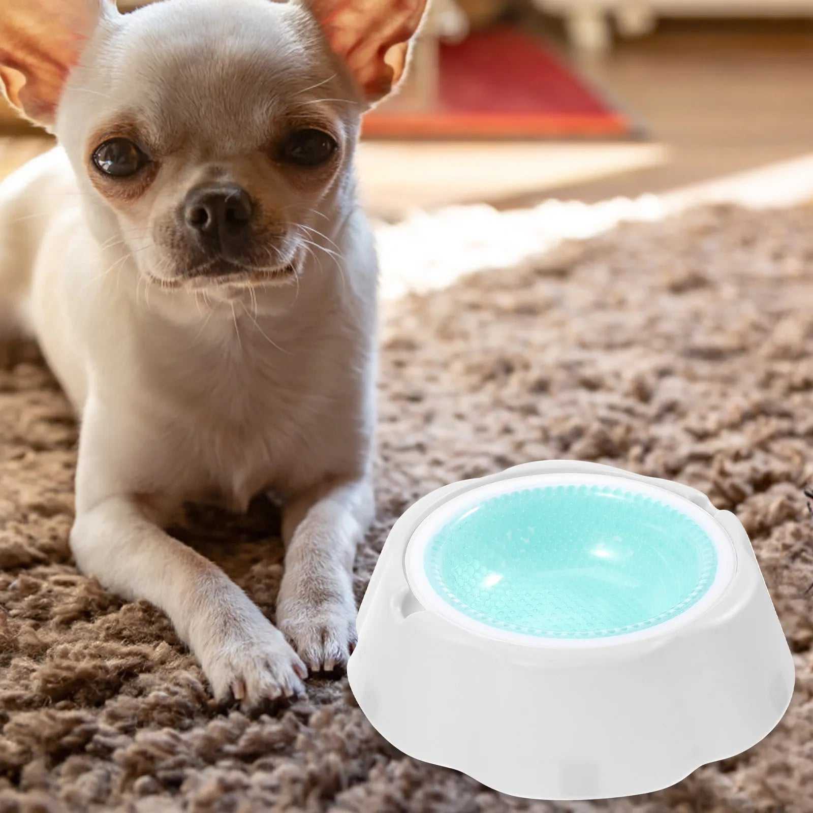 Pet Cooler Bowl Premium PP Material Low Temperature Retention Pets