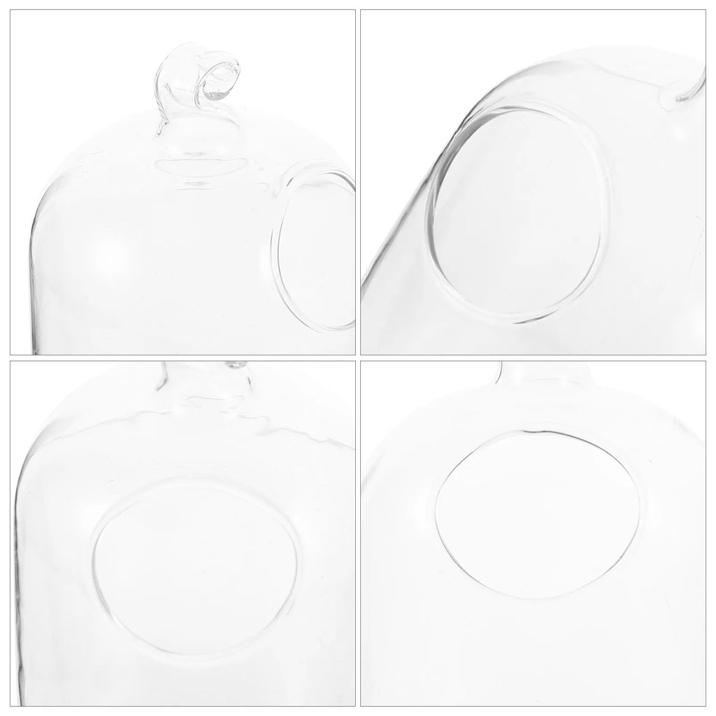 Transparent Hanging Glass Fish Tank Mini Aquarium Infusion Bottle