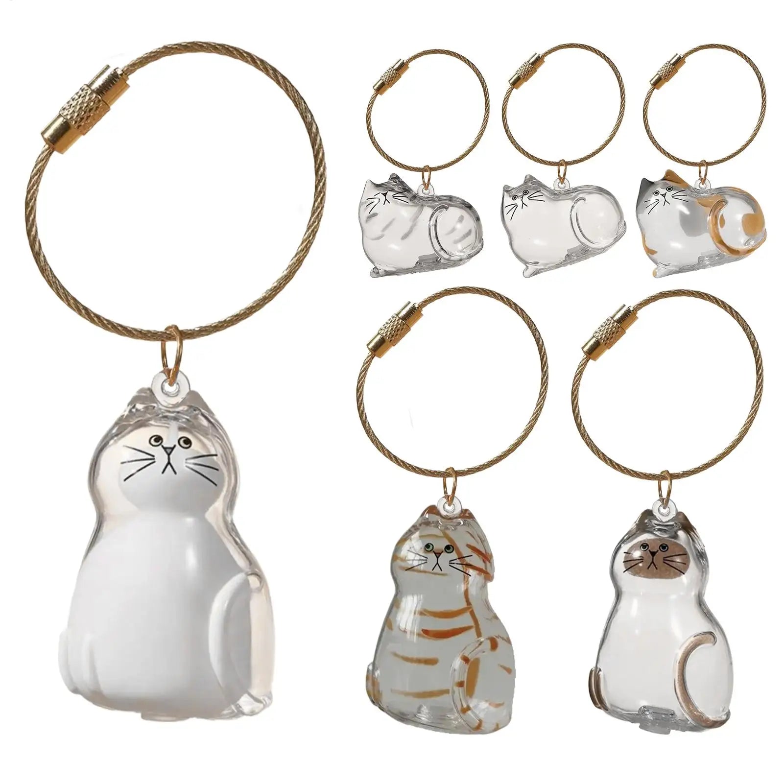 Cat Hair Storage Bottle Clear Mini Keepsake Container Pet Organizer