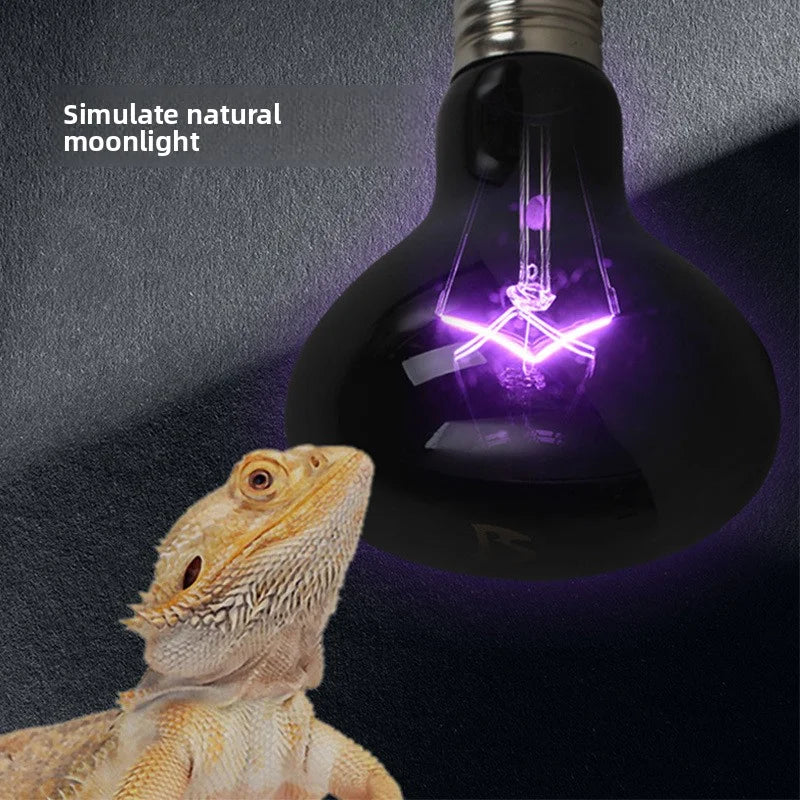 Reptile Moonlight Night Lamp – Chameleon & Lizard Heat Bulb