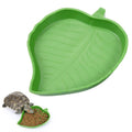 Leaf Reptile Water Dish Flat Hermit Crab Bowl for Drinking and Eating Water Plate for Turtle Lizards Hamsters Snakes Hermit Crab Zpaxo L