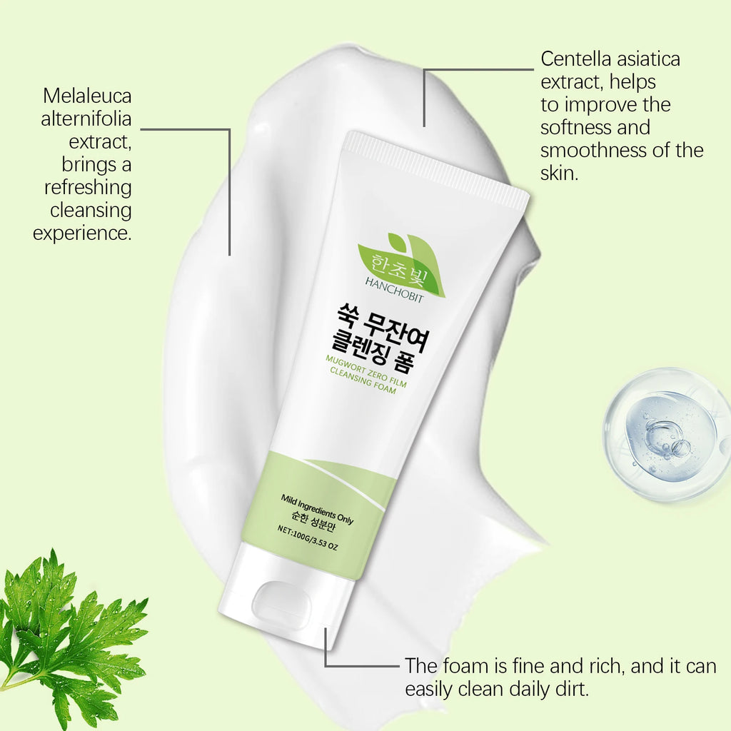 Mugwort Facial Cleanser – Gentle Deep Cleansing Lotion 100g Facial Cleanser Zpaxo