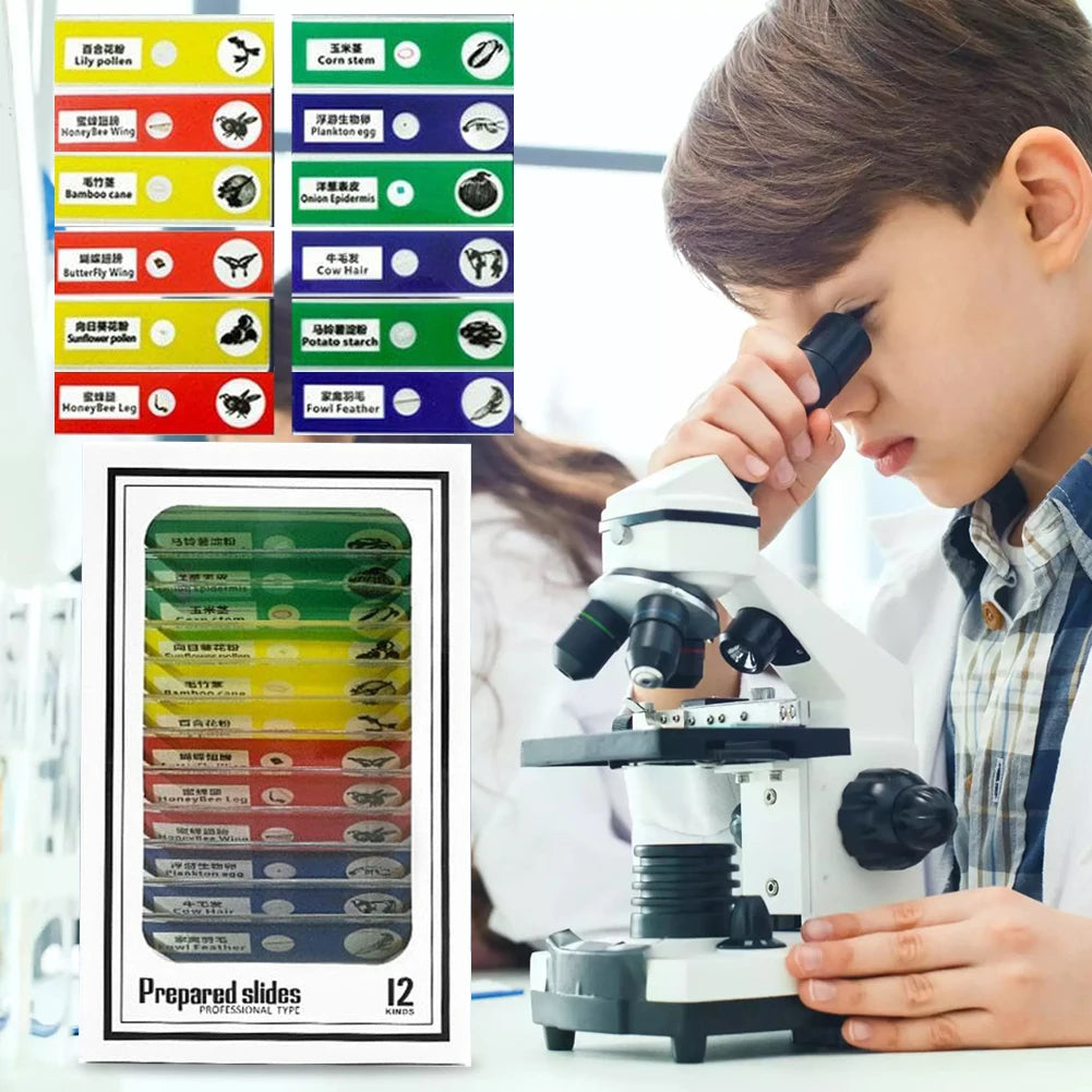 Educational Mini Handheld Microscope with LED Light Battery Powered Kid Science Experiment Pocket Microscope Kids Science Toy Zpaxo