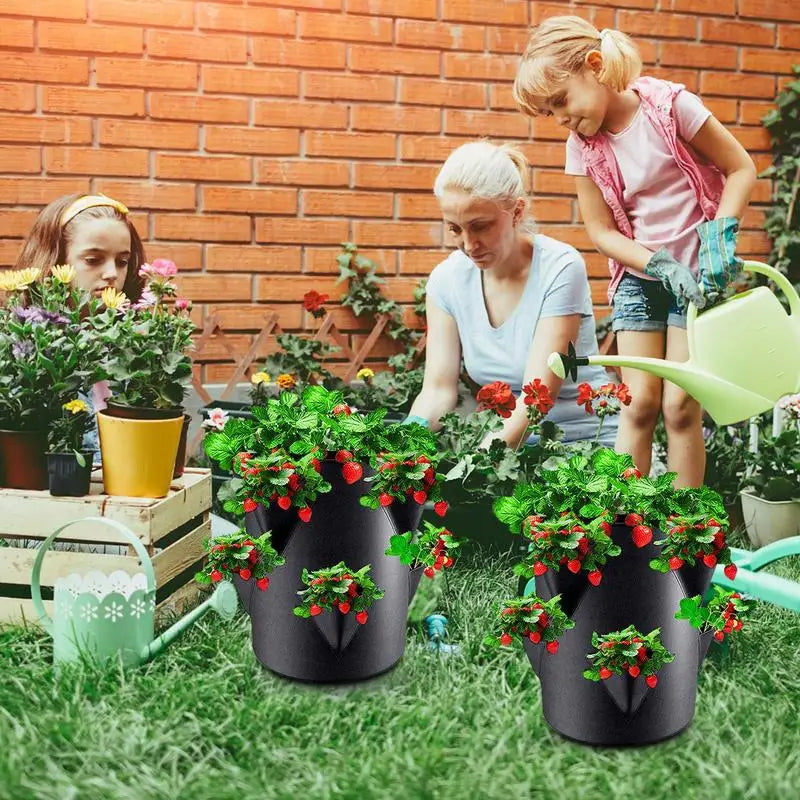 Potato Growing Bags 7 Gallon 6 Side Grow Pocket Outdoor Planter