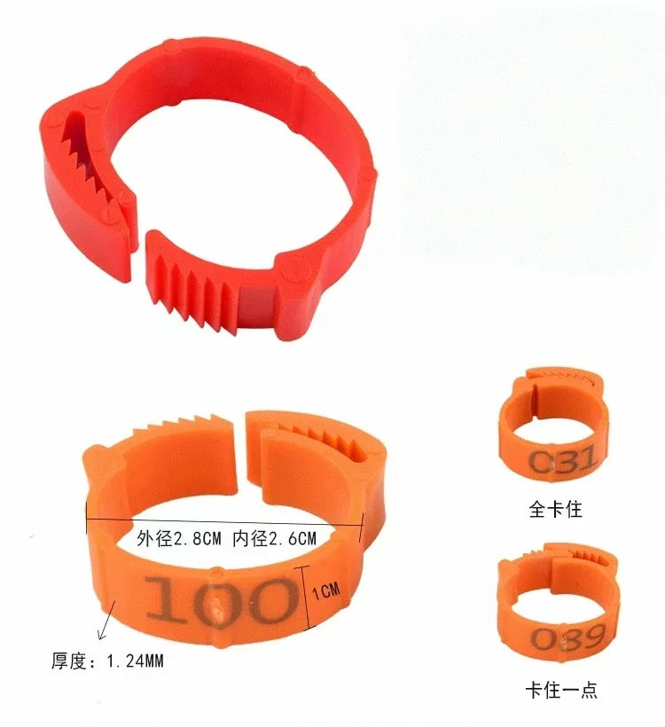 Chicken Foot Ring Label Buckle Plastic Adjustable Poultry Leg Snap
