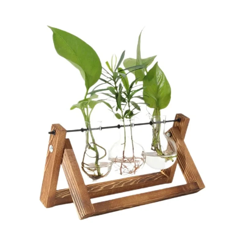 Plant Glass Container Wooden Stand 3 Bulb Planters Nurturing Station