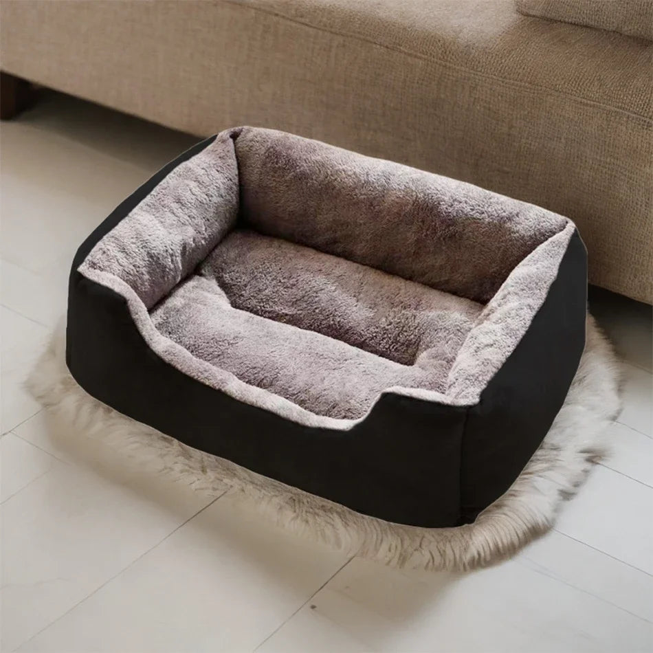 Bed for Cats Pet Products Cushions Kitten Goods Accessories Dog All Houses Supplies Things Accessory Habitats Basket House Beds Zpaxo