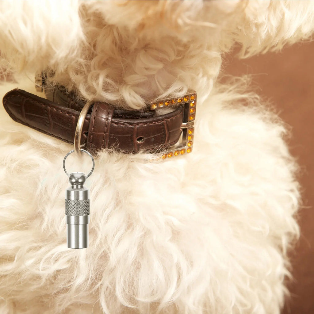 Pet Id Tag Tube Aluminum Anti-lost Dog Address Lightweight Portable