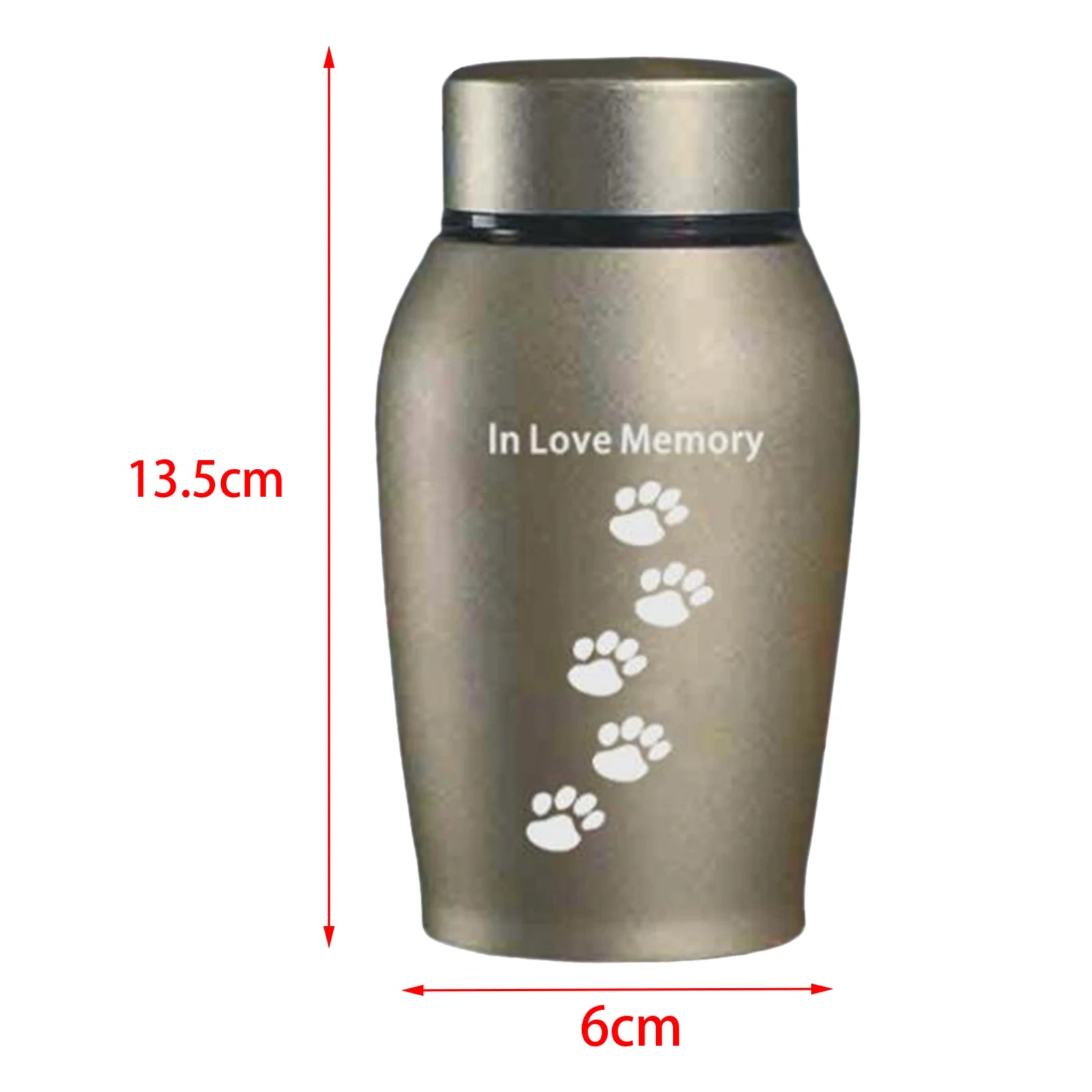 Mini Stainless Steel Pet Cremation Urn | Memorial Keepsake Case Pet Memorial Urn Zpaxo Aureate