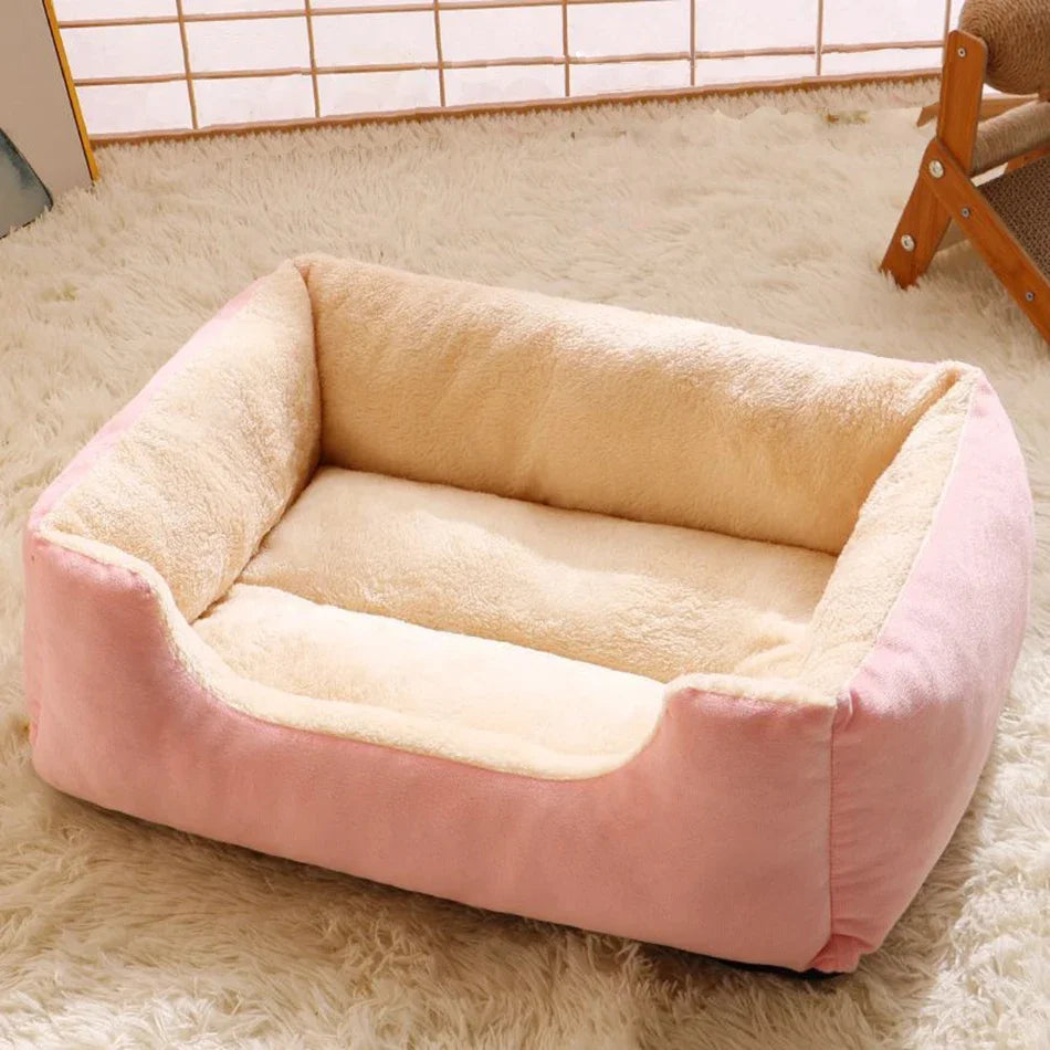 Bed for Cats Pet Products Cushions Kitten Goods Accessories Dog All Houses Supplies Things Accessory Habitats Basket House Beds Zpaxo