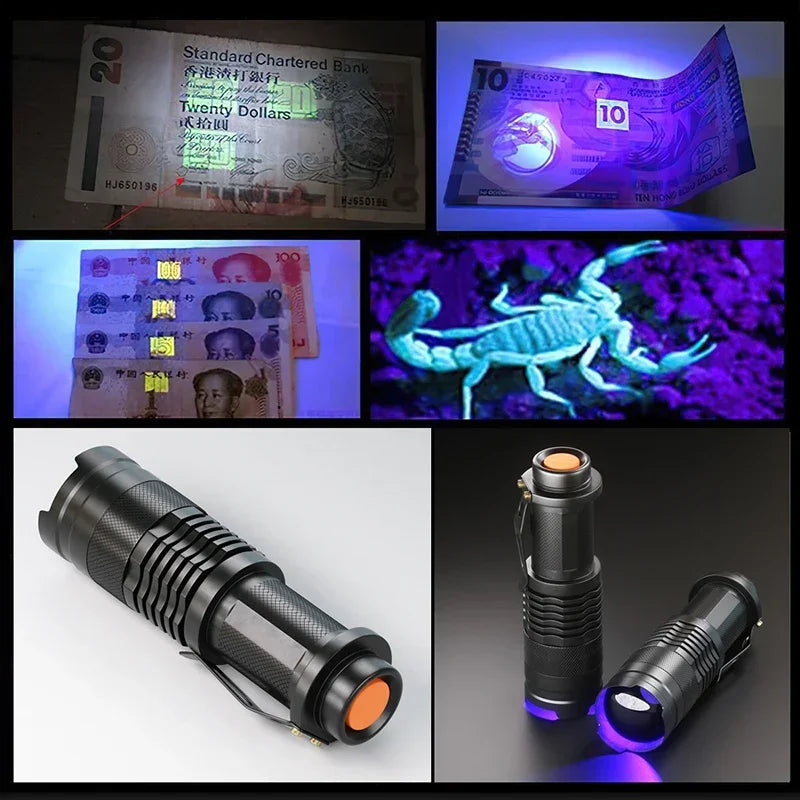 UV LED Blacklight Flashlight 395nm – Pet Stain & Scorpion Detector UV Blacklight Flashlight Zpaxo