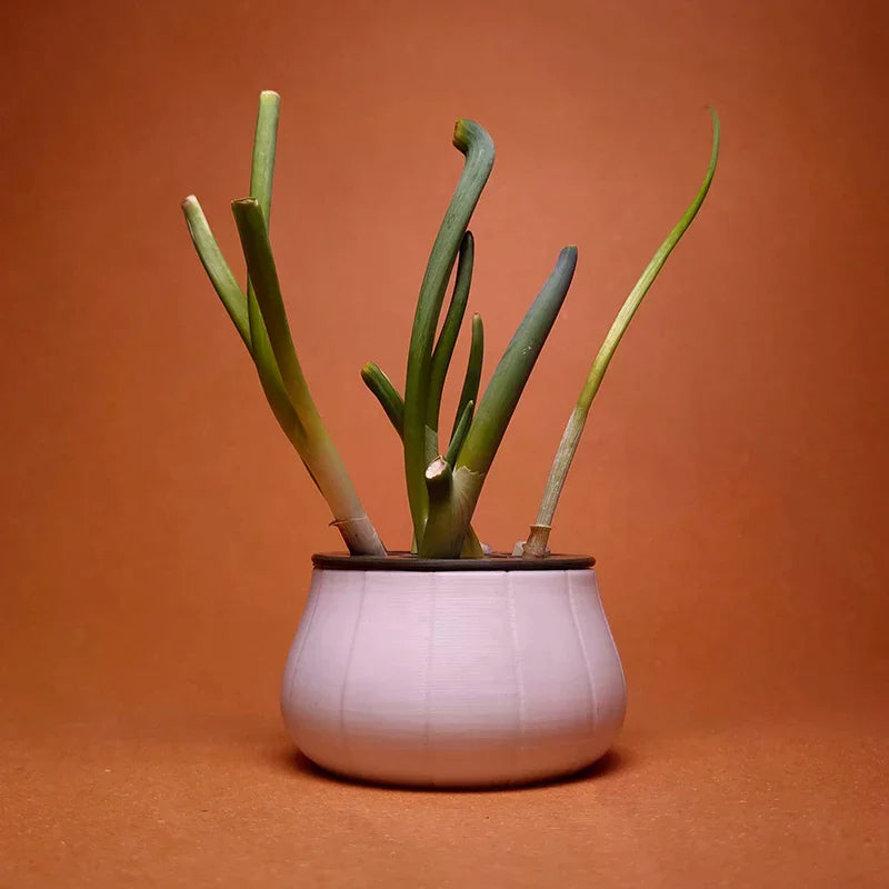 Green Onion Regeneration Planter Pot 3D Printed Hydroponic Plant Propagation Station Indoor Home Gardening Kitchen Gardening Zpaxo