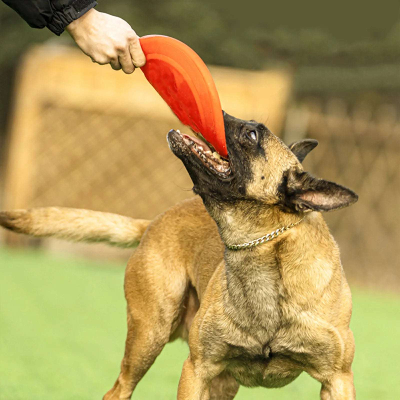 Wear-resistant Dog Disc Interactive Portable Multi-function Flying