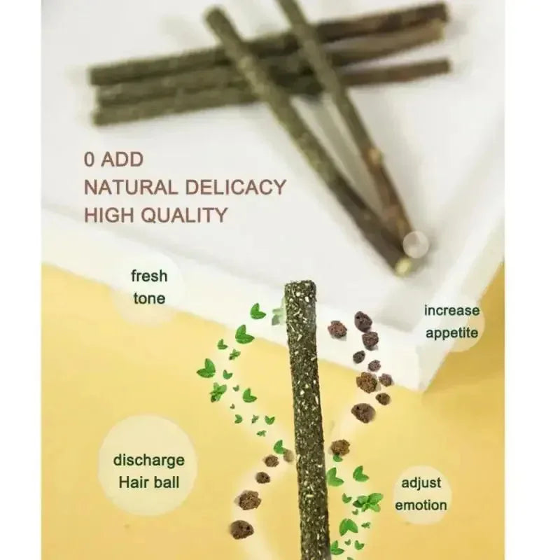 Natural Silvervine Catnip Chew Sticks – Cat Dental Toy 6-Pack