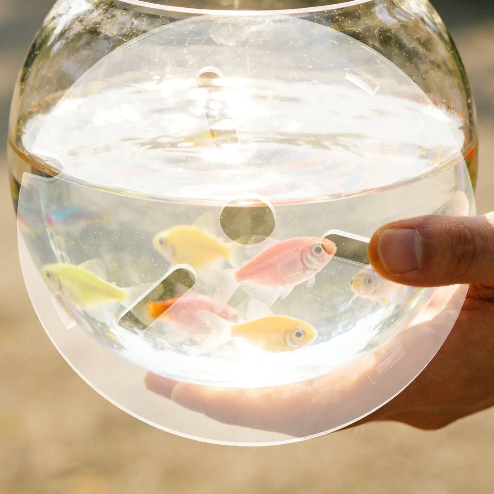 Small Acrylic Aquarium Lid Clear Anti-jumping Cover Round Transparent