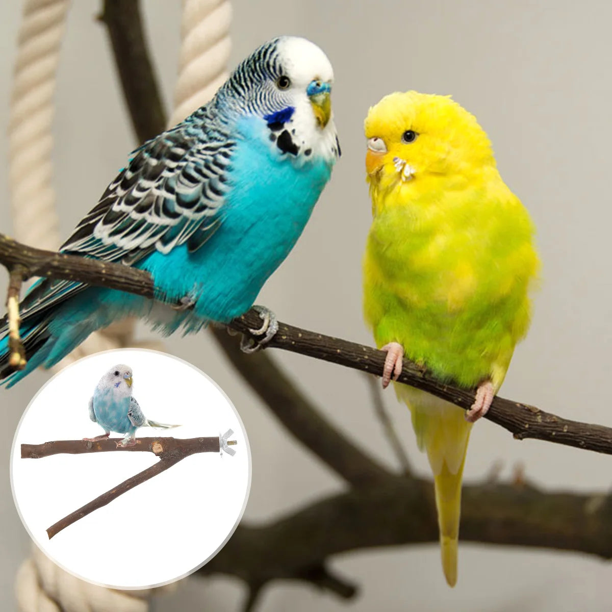 2/10pcs Natural Wood Bird Standing for Parrot Bird Perches Stick Parrot Stand Platform Wooden Exercise Climbing Paw Grinding Zpaxo