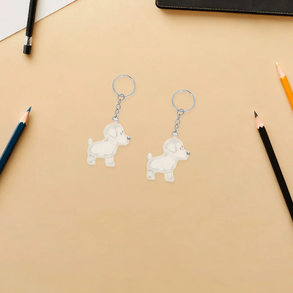 Transparent Dog Hair Keychain Pet Keepsake Collector Storage Key