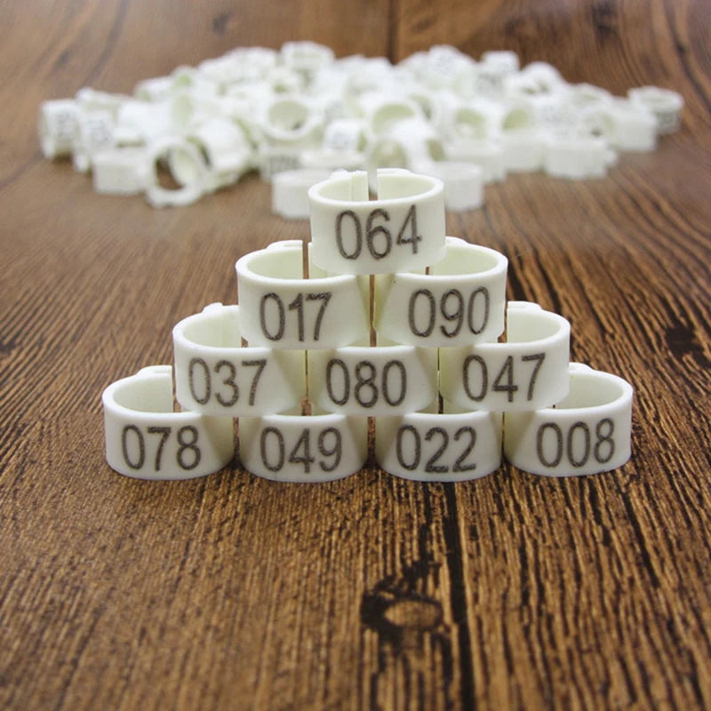 Bird Clip Ring ID Plastic Digital Markup Parrot Pigeons 10 Colors Zpaxo WHITE