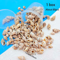 1Box Mini Sea Shells, Tiny Beach Shells,Seasnail For hobby, gift or decoration Art Crafts Projects Fish Tank Vase Fill Zpaxo 1 box