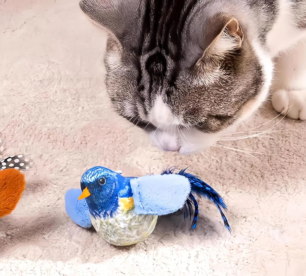 Hanging Cat Toy – Real Feathers & Catnip Interactive Teaser