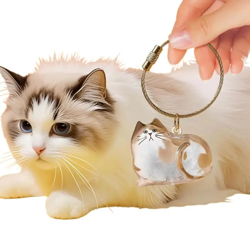 Kawaii Cat Keychain Pet Hair Storage Box & Grooming Charm
