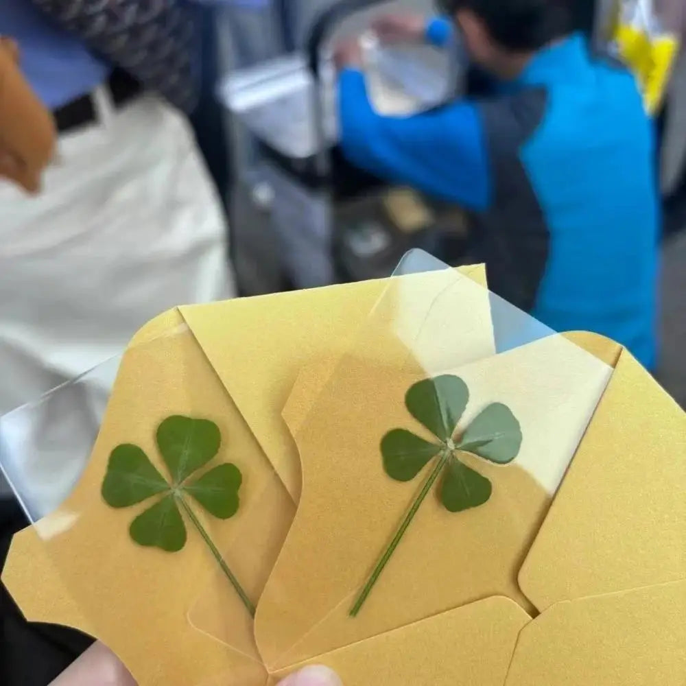 Lucky Four-leaf Clover Postcards Grass Acrylic Transparent Wishing Zpaxo