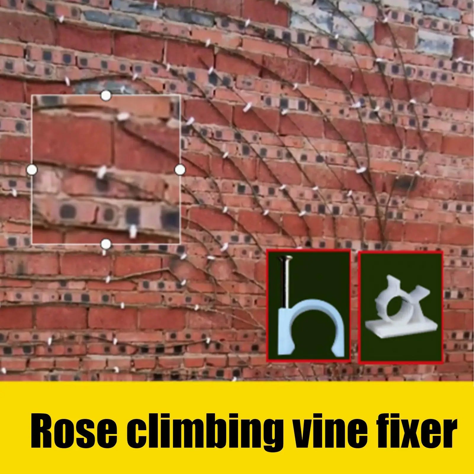 100-Pack Plant Wall Clips – Climbing Plant & Cable Fixers Plant Support Clips Zpaxo