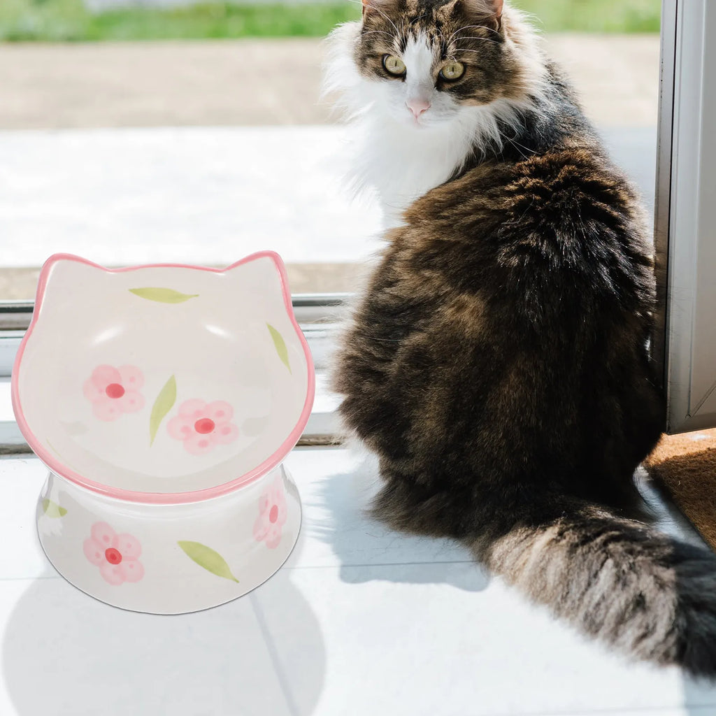 Elevated Cat Bowls Raised Feeding Anti-skid Stable Base Ear Design