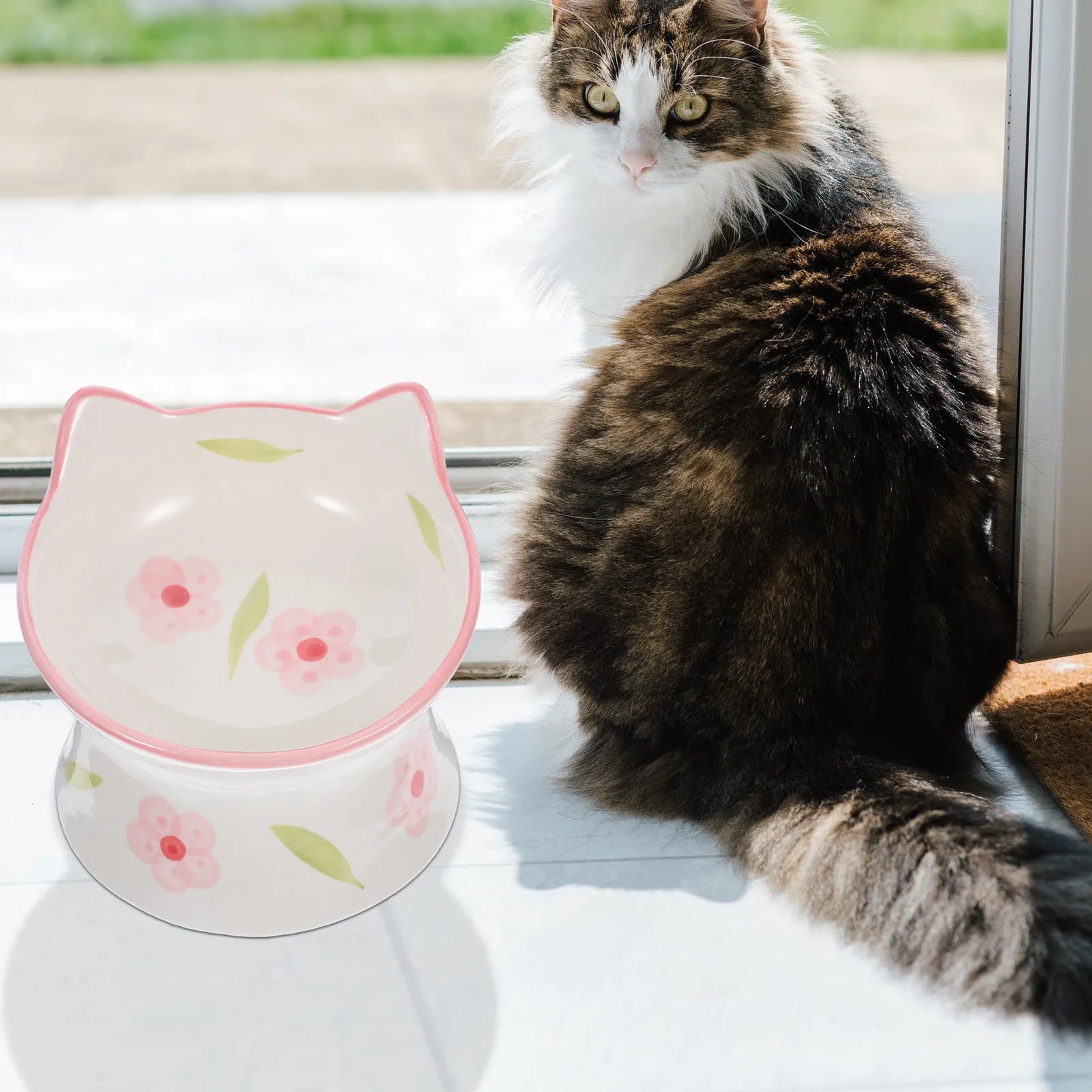 Elevated Cat Bowls Raised Feeding Anti-skid Stable Base Ear Design