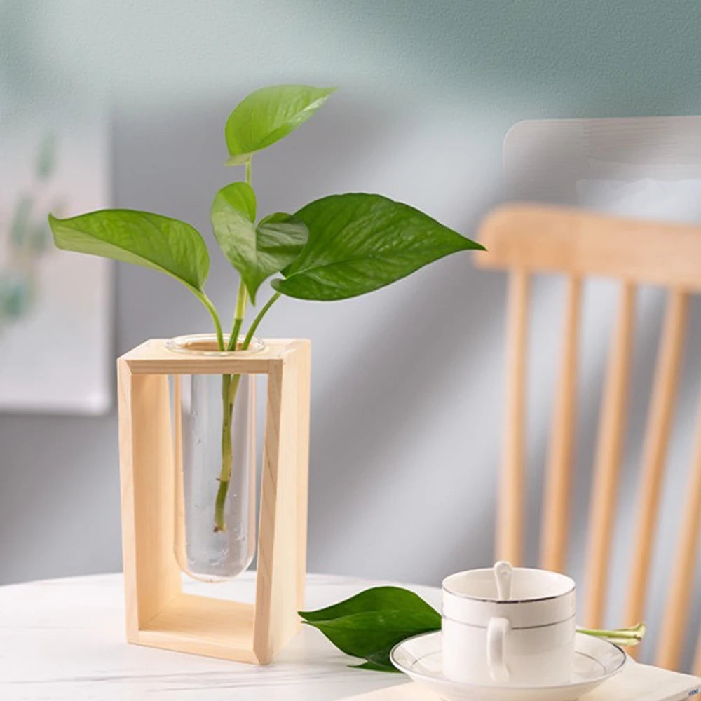 Test Tube Glass Vase Plant Propagation Station Hydroponic Vases for Plants with Wooden Stand Terrarium Office Home Desktop Decor Zpaxo