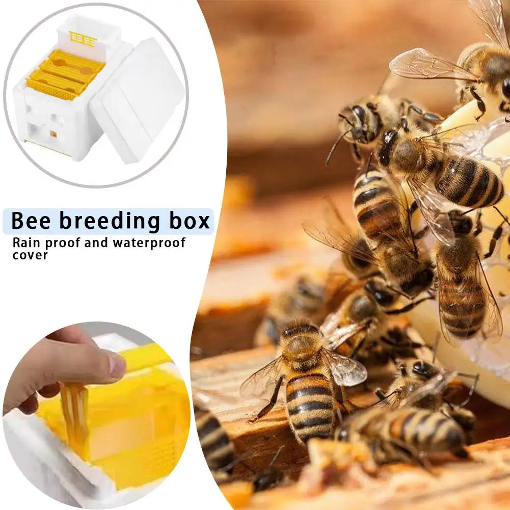 Foam Pollination Boxes Bee Nest Tool Multi-Function Beehive Beekeeping King Box Bee Hive Frame Holder Equipment Kit Zpaxo