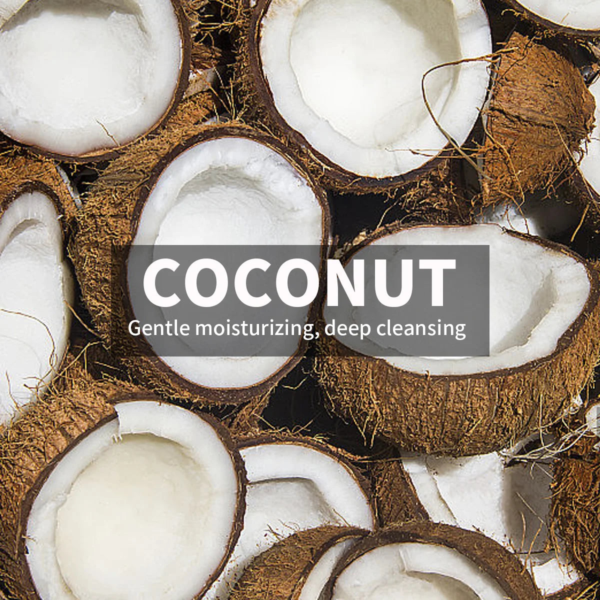 Coconut Amino Acid Facial Cleanser Mousse – Oil Control 120ml Facial Cleanser Mousse Zpaxo